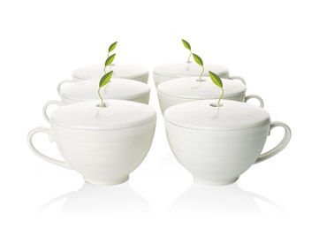 CAFE' CUP (6 sciolte)